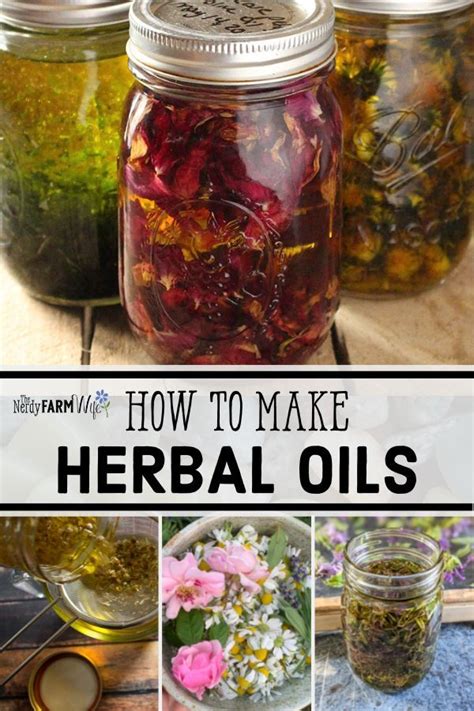 How To Make Herb Infused Oils Faqs And Tips In 2024 Herbalism