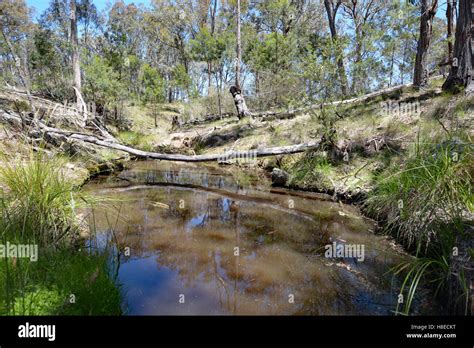 Outback Australian Creek Billabong Waterhole Hi Res Stock Photography