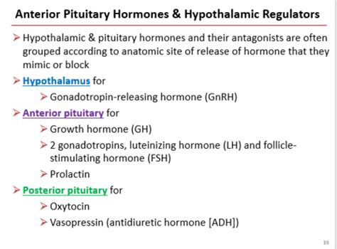 Posterior Pituitary Flashcards Quizlet