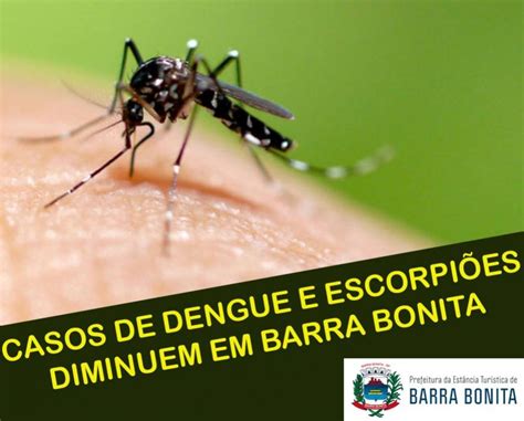 Barra Bonita Registra Queda Nos Casos De Dengue E Acidentes