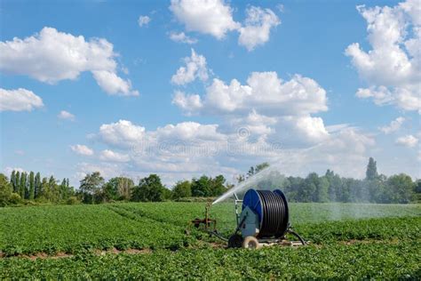 Hose Reel Irrigation Sprinkler Machine With Water Sprinkler Set Up On