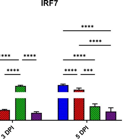 Messenger Rna Mrna Expression Of Interferon Regulatory Factor