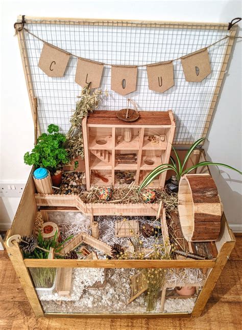 Hamster habitat | Hamster habitat, Hamster diy, Hamster diy cage