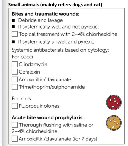 Antimicrobials For Skin Disease Flashcards Quizlet