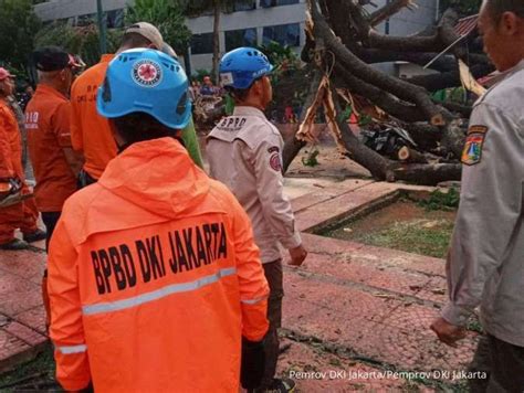 Prakiraan Cuaca Ekstrem Di DKI Jakarta BPBD Mengimbau Masyarakat Waspada