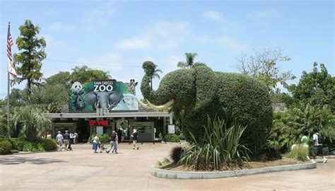 San Diego Zoo San Diego Ticket Price Timings Address Triphobo