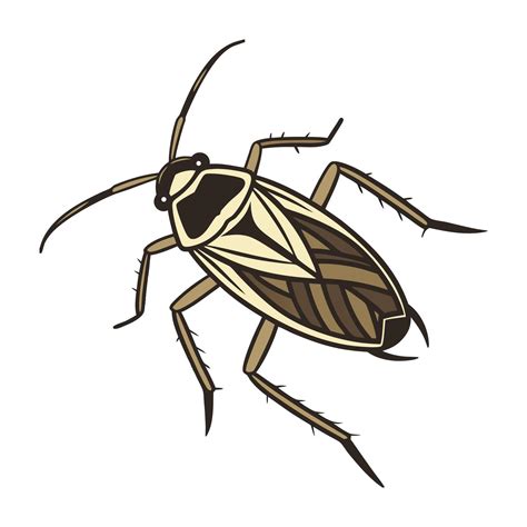 Dramatic Capture of Notonecta Glauca on White 59080151 Vector Art at