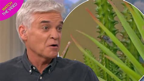 Phillip Schofield Jokes This Morning Crew Member Has Died In The Studio