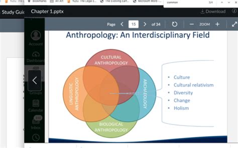 Cultural Anthropology Study Guide Flashcards Quizlet