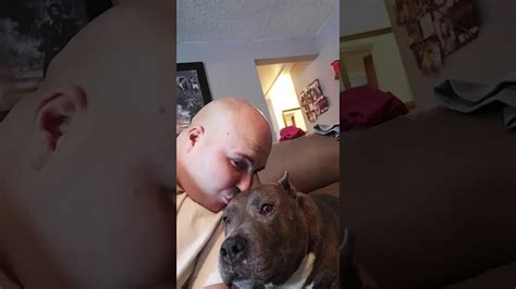 Pitbull Loves Kisses Youtube