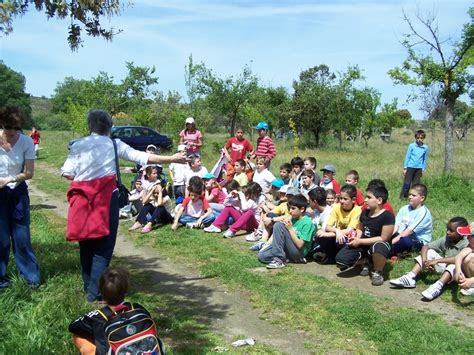 Educación destina 15 000 euros para el desarrollo de actividades de