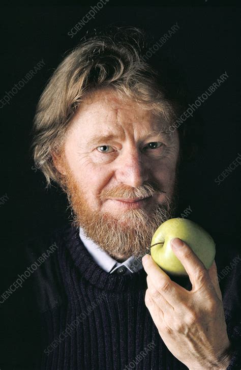 John Stewart Bell British Physicist Stock Image C0210388