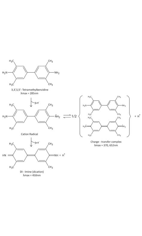 Hrp Redox Reaction Driven Tmb Color Development Part Four