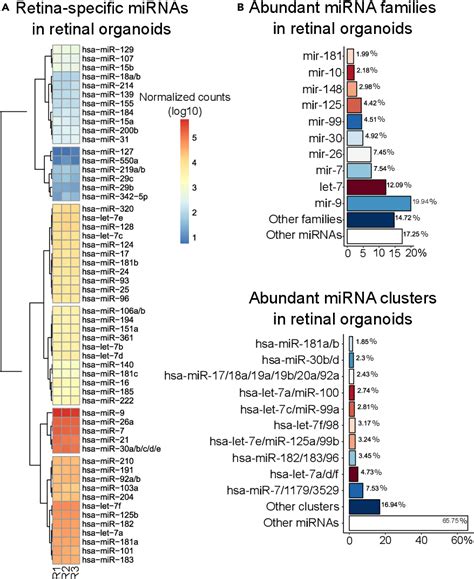 Figure From Light Responsive Microrna Molecules In Human Retinal