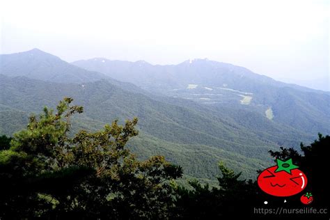 韓國、大邱｜八公山纜車桐華寺園區我在山上遇見愛 爆肝護士的玩樂記事