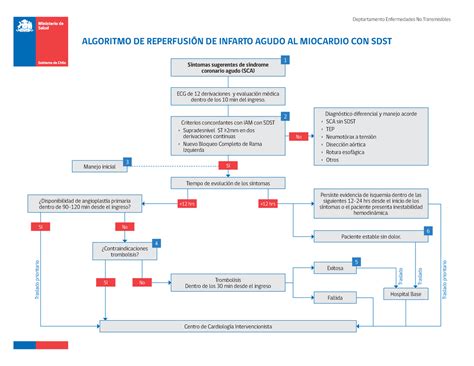 Algoritmo De Reperfusi N De Iam Con Sdst Algoritmo De Reperfusi N De