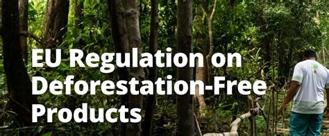 Etrma Responds To New Eu Deforestation Regulations Tire Business