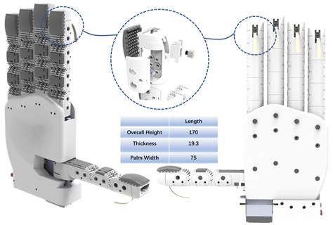 Tactile Hand Haoran Li S Robot Research