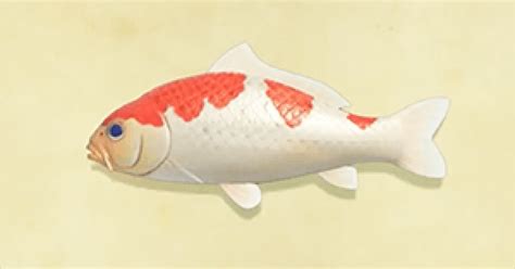 Acnh Koi How To Catch And Price Animal Crossing Gamewith