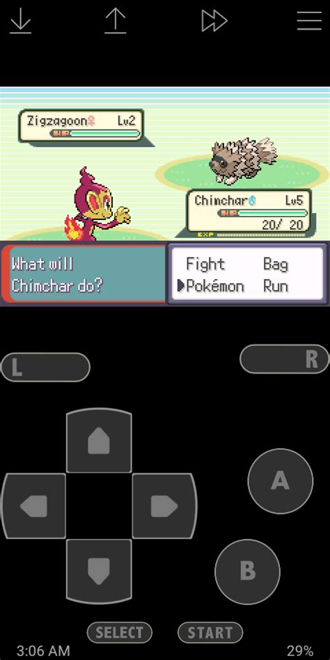 Shiny Chimchar In A Rom Hack Called Inclement Emerald Took Around