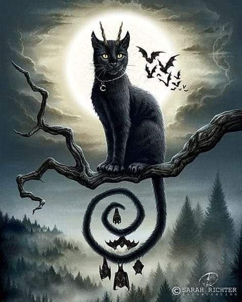 900 Gothic Cats Ideas In 2021 Cats Cat Art Black Cat