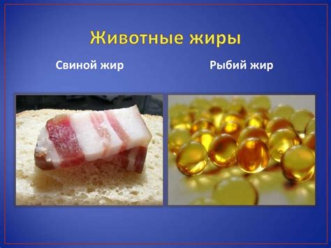 Жиры (триглицериды) - презентация онлайн