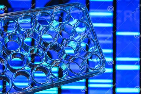 24 Well Plate For Cell Culture Studies Stock Photo Image Of Biology