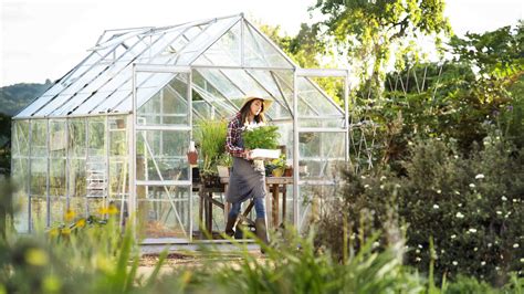 Comment Choisir Une Serre De Jardin