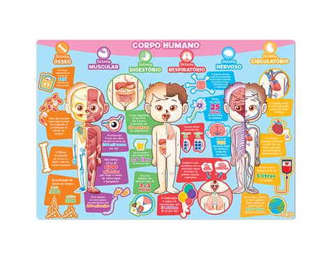 Escola Games Corpo Humano - corpo-humano3 | Escola de Jogos