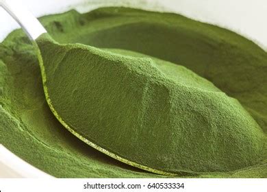 Closeup Healthy Chlorella Algae Powder Spoon Stock Photo 640533334 ...