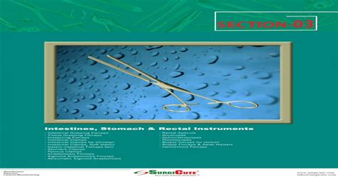 Intestines Stomach Rectal Instruments Anastomosis Forceps Sigmoid