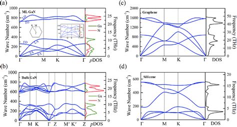 The Phonon Dispersion Curves Along The Path Passing Through The Download Scientific Diagram