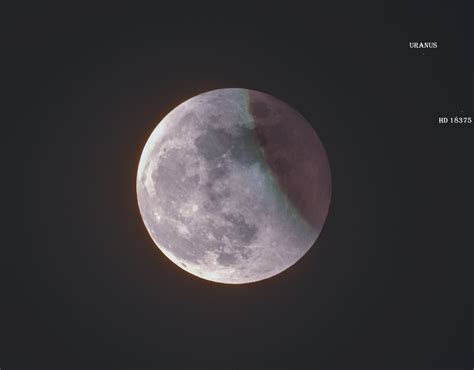 Foto di Soumyadeep Mukherjee: Japanese Lantern Moon - BFCspace