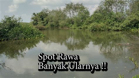 Mancing Ikan Di Spot Angker Tapi Rameh Youtube