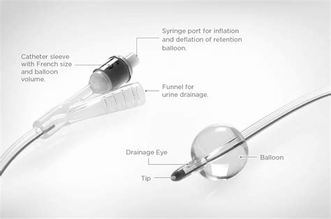 A Brief Introduction of Fortune Foley Balloon Catheter - Fortune ...