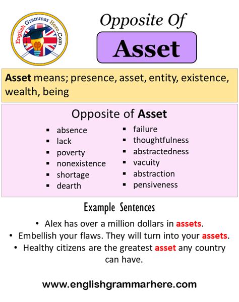 Opposite Of Asset Antonyms Of Asset Meaning And Example Sentences English Grammar Here