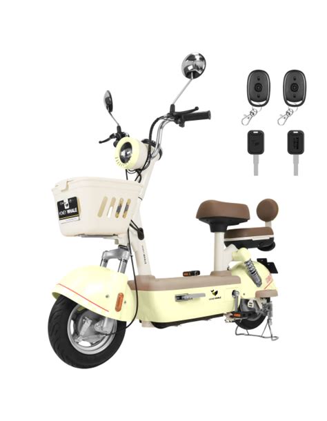 Buy Electric Scooters Electric Bikes Shop Auckland Nz E Scooter Nz