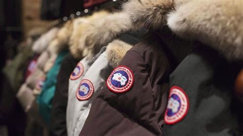 Canada Goose says it will no longer use fur in its products | CBC News