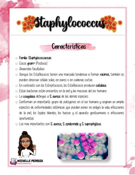 STAPHYLOCOCCUS Michelle Pedroza UDocz