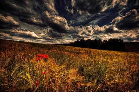 Papel de parede 1920x1280 px nuvens campo flor panorama céu