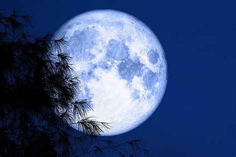 Mengenal Fenomena Blue Moon Yang Terjadi Semalam Fenomena Bulan Bulat