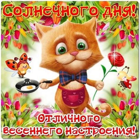 Картинки хорошего дня и настроения! (50 открыток)