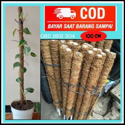 Jual Turus Penyangga Tanaman Rambat Dari Sabut Kelapa 100 Cm Harga