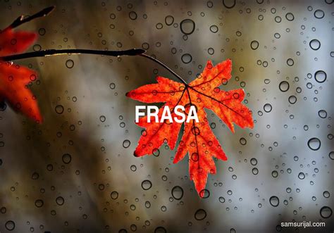 arti kata frasa kamus besar bahasa indonesia kbbi samsurijalcom