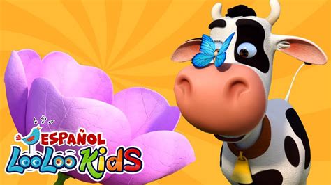 La Vaca Lola Hokey Pokey Y Las Mejores Canciones Infantiles LooLoo