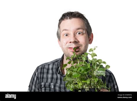 Man Eating Tree In Africa