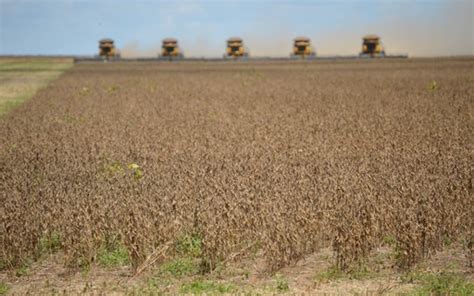 Mato Grosso Acelera E Leva Colheita De Soja A 3 8 No Brasil Revista