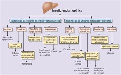 Trastornos De La Funci N Hepatobiliar Y Del Pancreas Exocrino Enfermer A