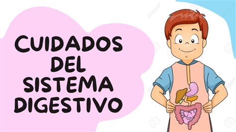 Cuidados Del Sistema Digestivo Aa