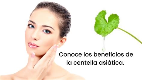 6 Beneficios de la centella asiática en tu piel Thanaka Blog